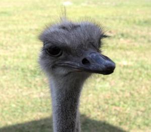 329953_10101562467908601_2048361_83882364_1168442716_o