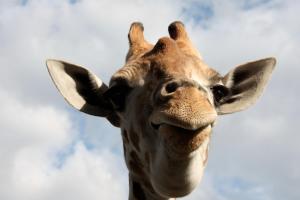 336258_10101562511151941_2048361_83882562_1765046222_o